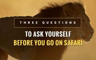 3 Questions to Ask Yourself Before You Go on Safari