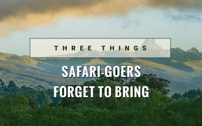 3 Things Safari-goers Forget to Bring